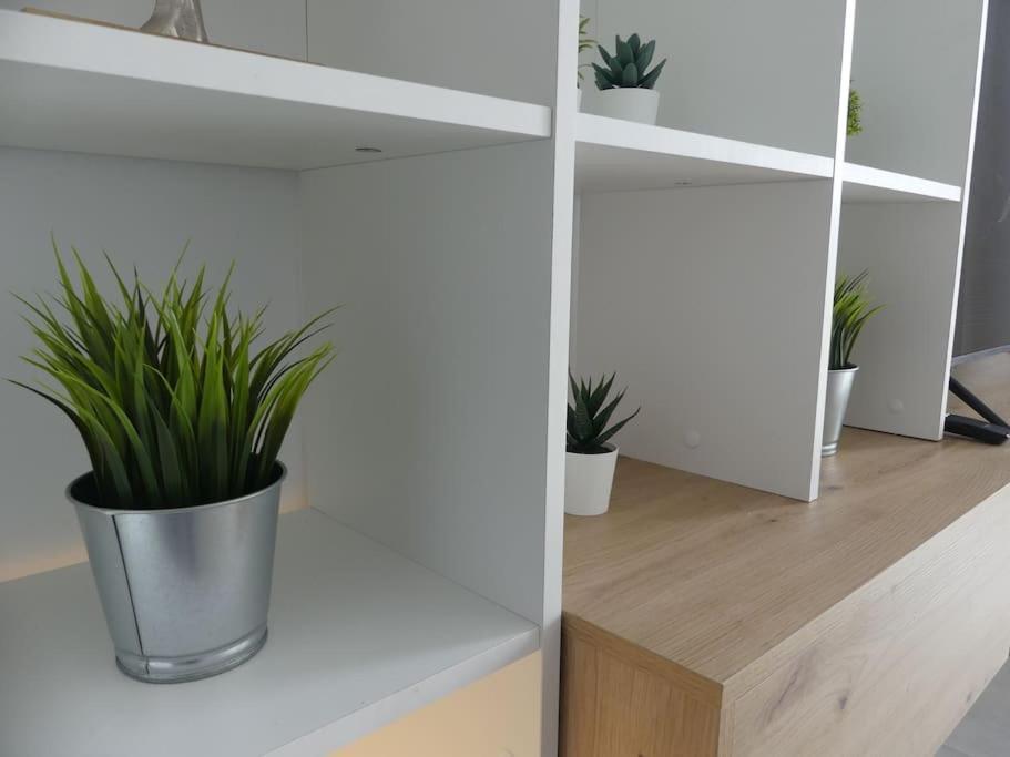 19 Piso Centrico, Nuevo Y Bien Equipado En La Trinidad Lägenhet La Laguna  Exteriör bild