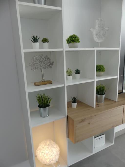 19 Piso Centrico, Nuevo Y Bien Equipado En La Trinidad Lägenhet La Laguna  Exteriör bild
