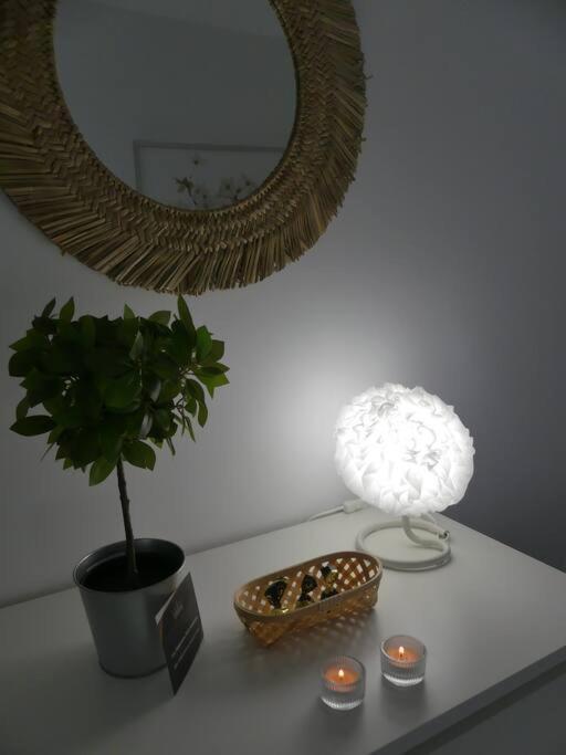19 Piso Centrico, Nuevo Y Bien Equipado En La Trinidad Lägenhet La Laguna  Exteriör bild